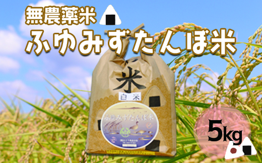 宮城県産 無農薬白米「ふゆみずたんぼ米」5kg｜大崎市田尻のブランド米・ご飯に最適【精米済・送料無料】