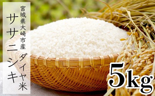 《令和7年産》宮城県大崎市産ササニシキ「ダイヤ米」白米5kg｜希少な無農薬ブランド米・精米済・ご飯に最適【送料無料・ふるさと納税返礼品】