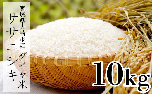 《令和7年産》宮城県大崎市産ササニシキ「ダイヤ米」白米10kg｜希少な無農薬ブランド米・精米済・ご飯に最適【送料無料・ふるさと納税返礼品】