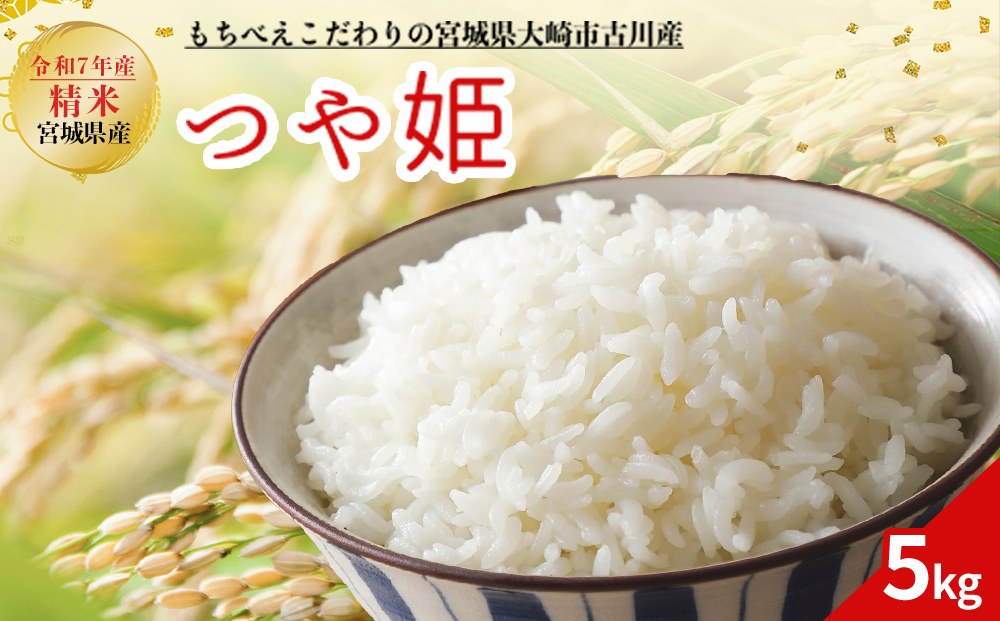 令和7年産 新米 大崎市古川産つや姫 5kg｜宮城県産ブランド米