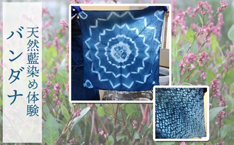 天然藍染め体験～バンダナ
