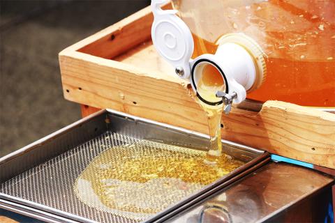 2025年採蜜 とみやはちみつ 120g×3個セット｜令和7年 国産 富谷 蜂蜜 はちみつ ハチミツ 瓶 [0283]