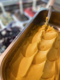 [＆とみやジェラート] マンゴー 1000ml｜アイス スイーツ 仙台 富谷 とみやど 牧場 デザート イタリアンジェラート [0202]