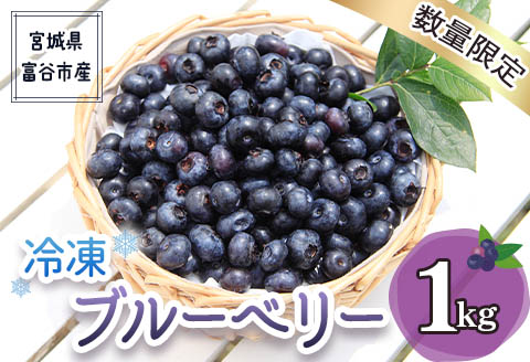 2025年富谷市産 冷凍ブルーベリー1kg｜ブルーベリー 冷凍便 特産品 果実 スイーツ デザート ヨーグルト ジャム ジュース 果物 ギフト 贈答 贈り物 令和7年産 [0226]