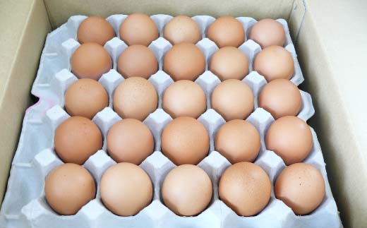 蔵王琥珀卵（50個）　【04301-0295】