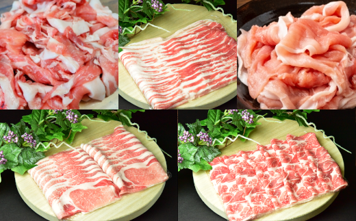 【定期便2か月】JAPAN X5種スライスセット1.8kg 【真空パック・ロース・肩ロース・バラ・モモ・小間】　【04301-0549】