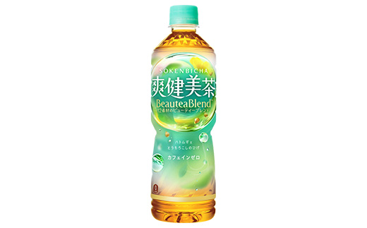 【2か月連続お届け】爽健美茶　600ml PET×24本　【04301-0696】