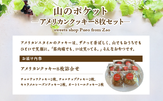 山のポケット～アメリカンクッキー8枚セット～　【04301-0951】