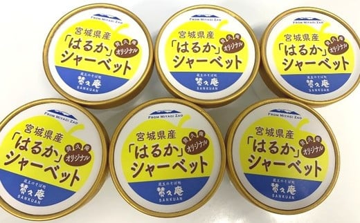 りんご「はるか」シャーベット　【04301-0202】