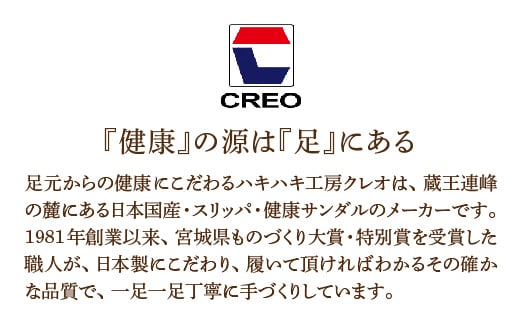 D型セノーテシジラ中黒タタミL（約27.5cmまで） デザインC　【04301-0587-1】