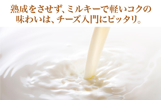 蔵王チーズ　蔵王ミルクキューブ　90g×3個セット　【04301-0816】