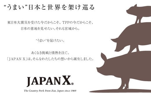 豚肉『JAPANX』3種・2,070g詰合せ「蔵王からの贈りものセットA」　【04301-0190】