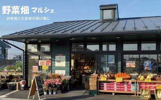 蔵王高原はちみつ詰合せ　120g×3本　【04301-0296】