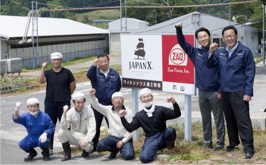 JAPAN X5種スライスセット1.8kg 【真空パック・ロース・肩ロース・バラ・モモ・小間】　【04301-0543】