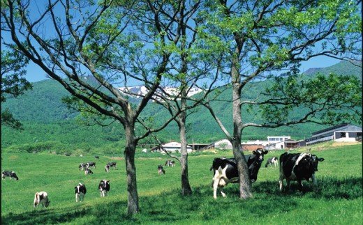 蔵王チーズ　蔵王山麓発酵バター 170g×2個　【04301-0815】