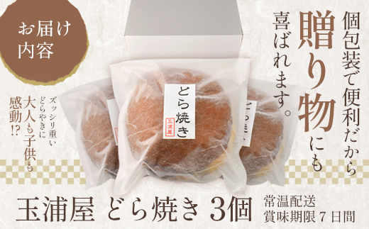 玉浦屋名物 ズッシリ大きなどら焼き 3個【04301-0807】