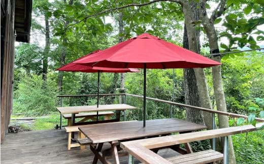 プレーンチーズケーキ　 濃厚 チーズケーキ 冷凍 ご褒美 スイーツ グルテンフリー 人気 蔵王【04301-0514】