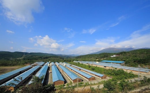 豚肉『JAPANX』3種・2,070g詰合せ「蔵王からの贈りものセットA」　【04301-0190】