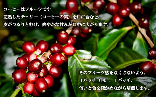 cafe fua ドリップバッグ　14袋詰め合わせ　コーヒー coffee ドリップコーヒー ドリップバッグ 11g 【04301-0501】