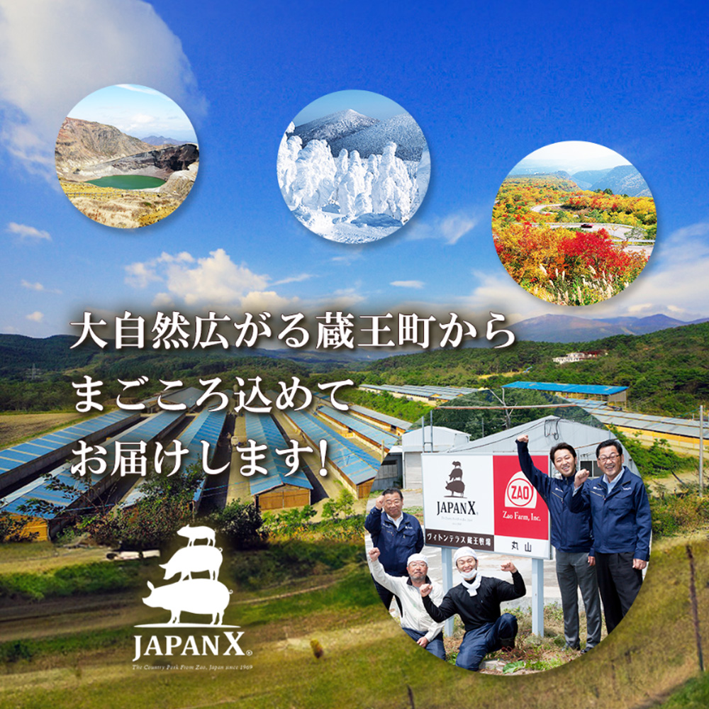 JAPAN X 豚小間切り落とし/計3kg　豚肉 豚 ブランド豚 小分け 豚こま 豚小間 切落し ジャパンエックス 蔵王 人気【04301-0067】