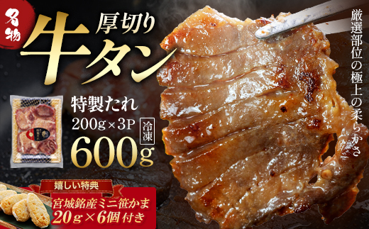 蔵王福膳・柔らか牛タン(特製果実たれ) 600g・笹かま付き　牛たん 牛タン 仙台名物 厚切り 蔵王 人気 【04301-0565】