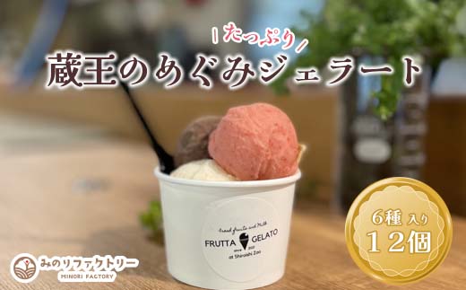 蔵王のめぐみたっぷりジェラート １２個　ジェラート フルーツ デザート 贈り物 蔵王【04301-0503】