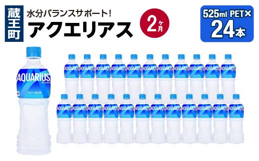 【2か月連続お届け】アクエリアス　500ml PET×24本　【04301-0705】 2か月定期便 500ml×24本