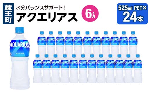 【6か月連続お届け】アクエリアス　500ml PET×24本　【04301-0706】 6か月定期便 500ml×24本