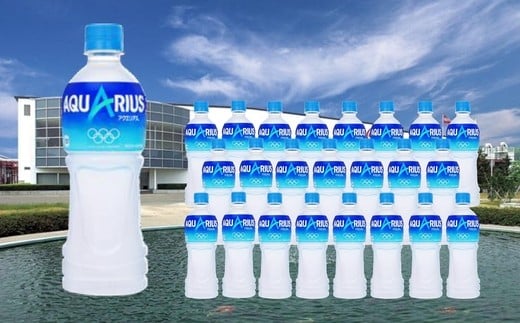 【3か月連続お届け】アクエリアス　500ml PET×24本　【04301-0040】
