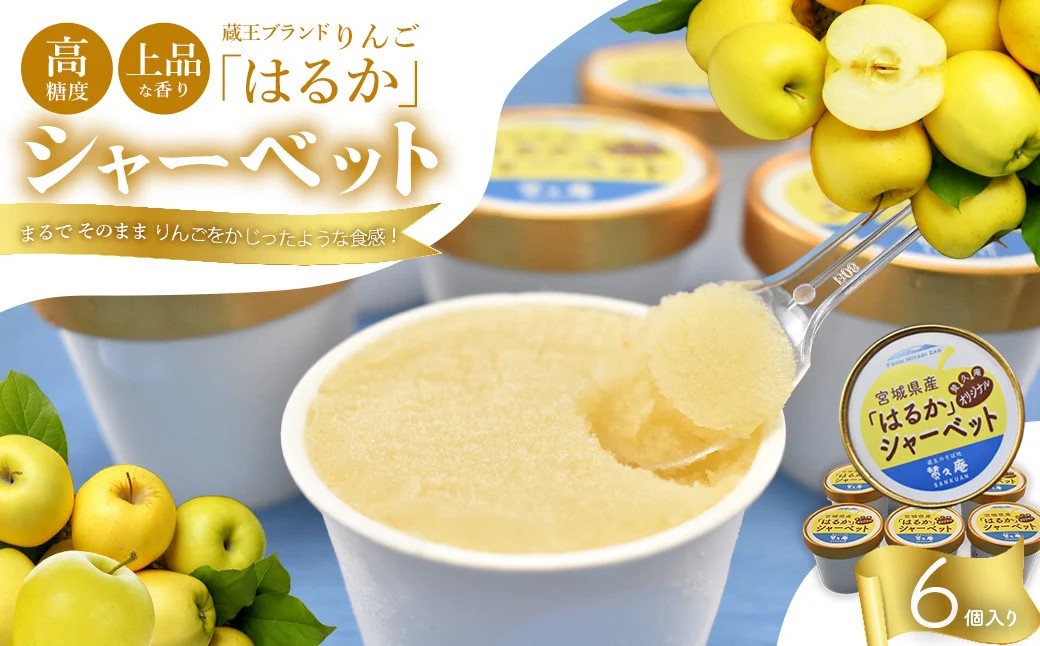 りんご「はるか」シャーベット　【04301-0202】