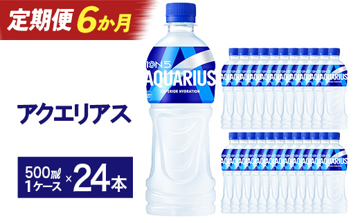【6か月連続お届け】アクエリアス　500ml PET×24本　【04301-0706】 6か月定期便 500ml×24本