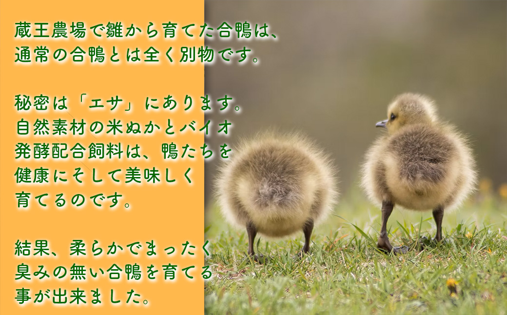 蔵王合鴨　ロース・ももスモークセット　【04301-0785】