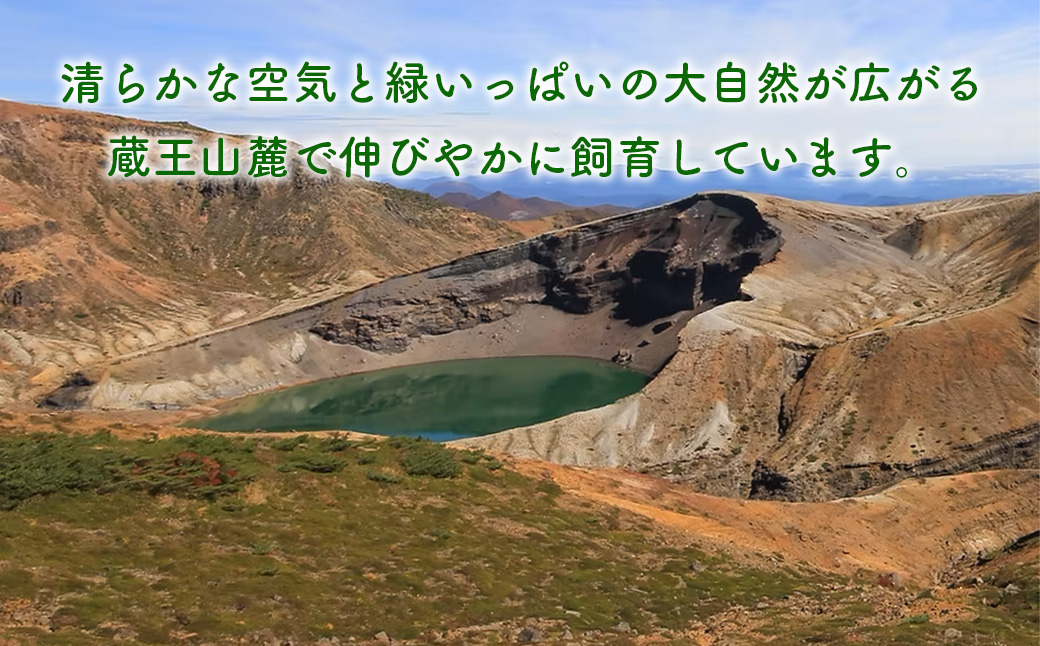 蔵王合鴨　スモーク　ももブロック　【04301-0787】