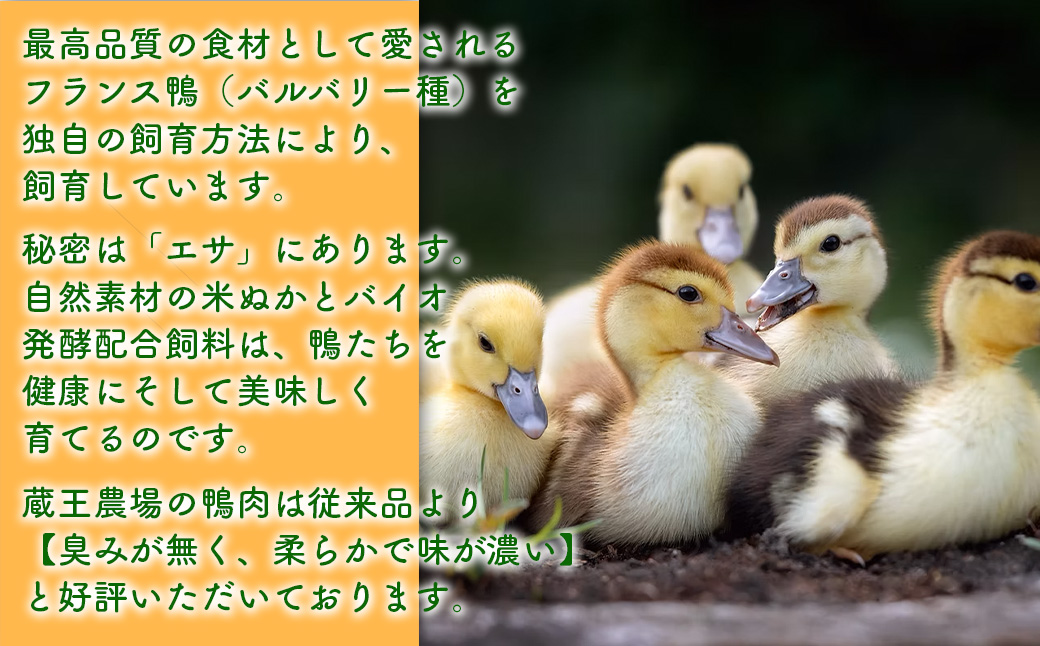 蔵王鴨　ジャーキー・カルパスセット　【04301-0789】