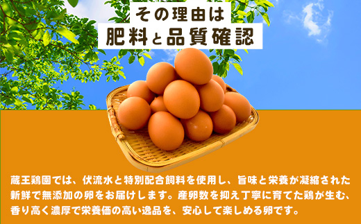 たまごが香るシフォンケーキ　【04301-0790】