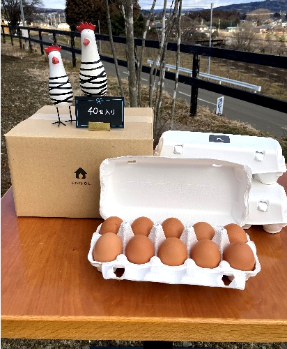 【2か月連続お届け】眠れる森のたまご 朝採れ卵40個　たまご タマゴ 卵 鶏卵 濃厚 こだわり 新鮮 定期便　【04301-0797】