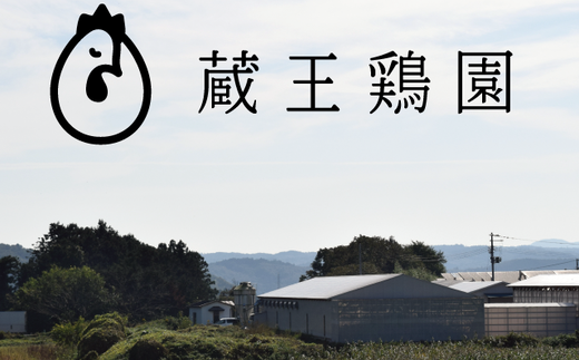 【2か月連続お届け】眠れる森のたまご 朝採れ卵40個　たまご タマゴ 卵 鶏卵 濃厚 こだわり 新鮮 定期便　【04301-0797】