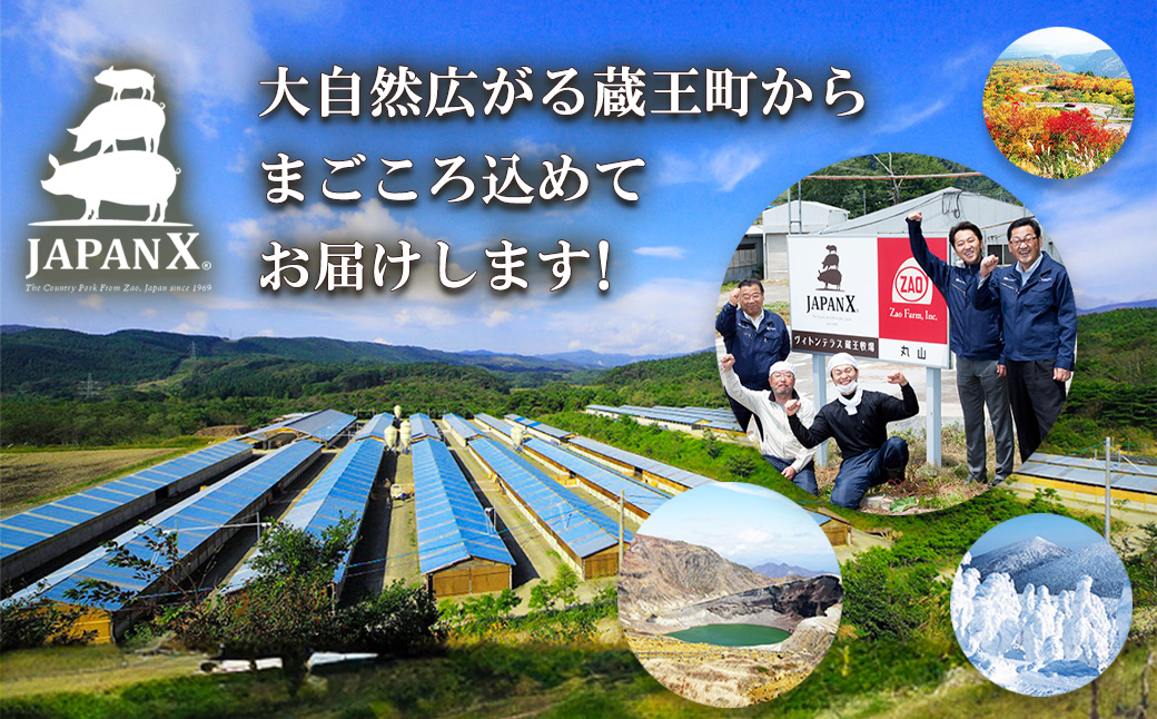 JAPAN X 味付ロース5点セット 山賊焼き5パック　豚肉 豚 ブランド豚 小分け ロース 豚ロース 味付 時短 生姜焼き 山賊焼き ジャパンエックス 蔵王 人気　【04301-0883-6】