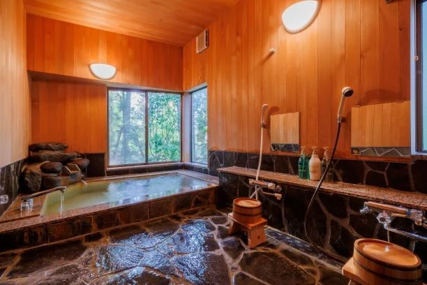 ガイアリゾート天然温泉付き貸別荘20,000円分宿泊券　【04301-0945】