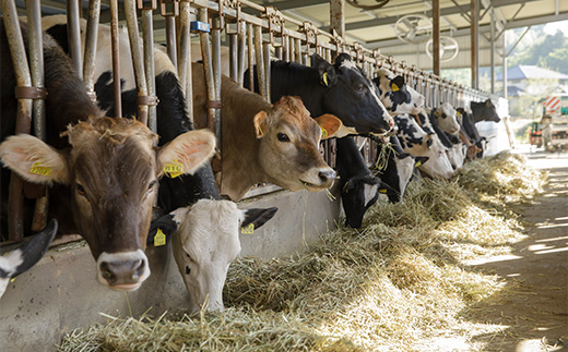 【宮城蔵王】ヨーグルト工房Atreyu ヨーグルト詰め合わせ「ホワイトギフト」【04301-0947】