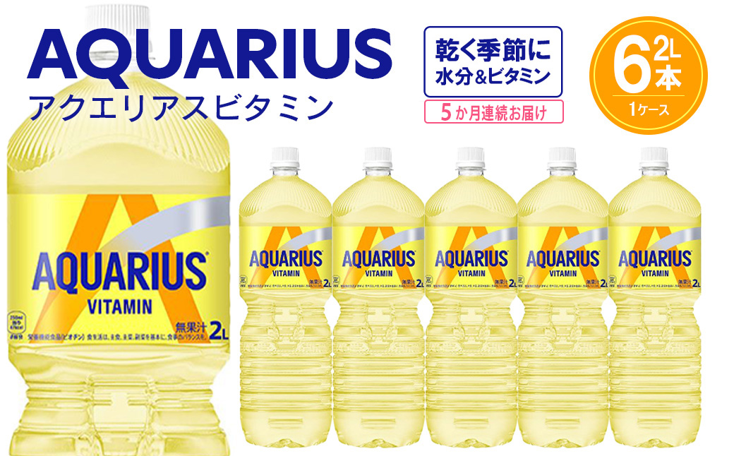【5か月連続お届け】アクエリアス ビタミン　2L PET×6本　【04301-0680】 5か月定期便 アクエリアス ビタミン2L×6本