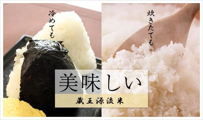 【10か月連続】＜令和7年産米＞蔵王源流米5kg＆季節の恵みセット(3～5品程度)　【04301-0140】