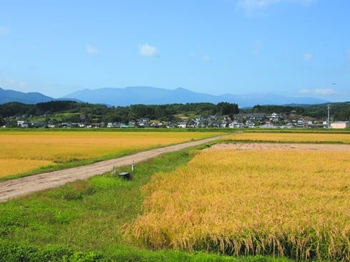 【3か月定期便】＜令和7年産米＞蔵王源流米ひとめぼれ5kg×3回 (全15kg)　【04301-0162】