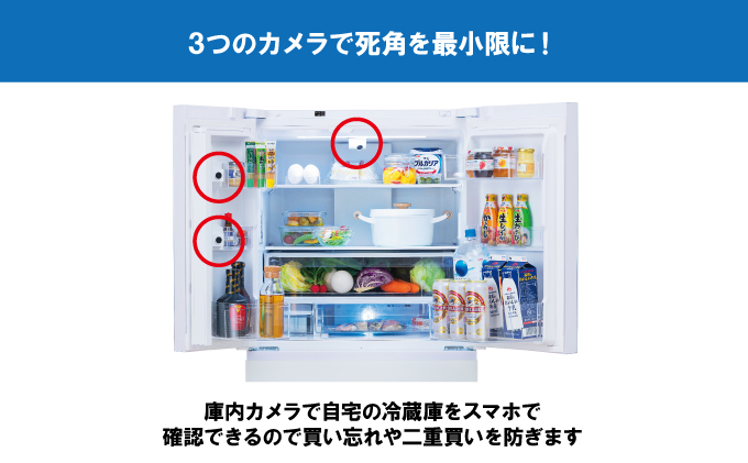 冷蔵庫 庫内カメラ付き 453L IRGN-C45A-W ホワイト 大型 大型冷蔵庫 両開き 6ドア フレンチドア 2段冷凍室 171L 急速冷凍 自動製氷 大容量 アイリスオーヤマ