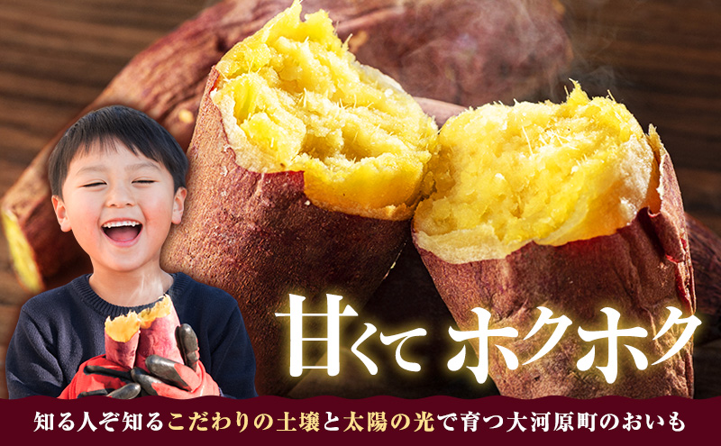 さつまいも 約10kg 紅はるか サツマイモ 宮城県産 甘い 秋 冬 スイーツ いも 産地直送 宮城県 大河原町