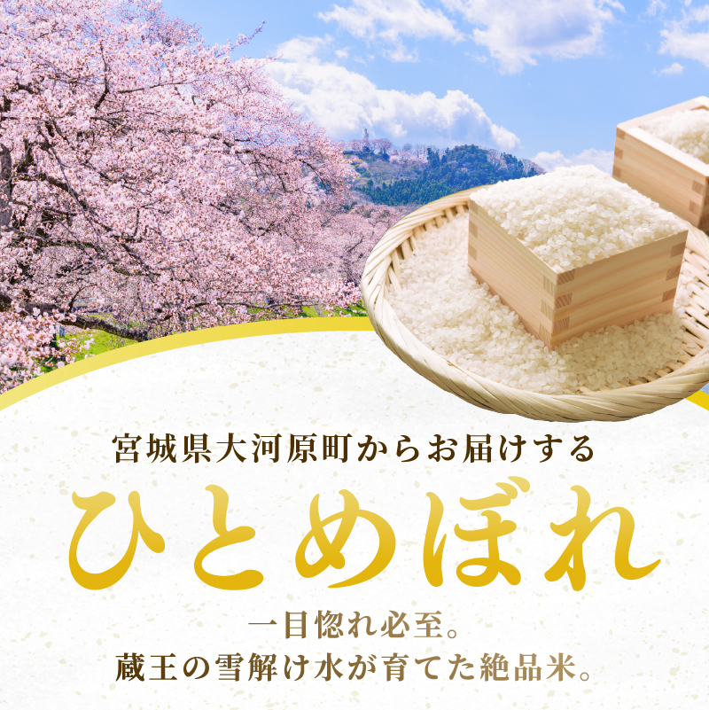 ひとめぼれ 定期便3回/5kg×2袋 令和8年産 新米 先行予約 宮城