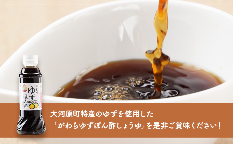 がわらゆずぽん酢しょうゆ300ml×6本セット