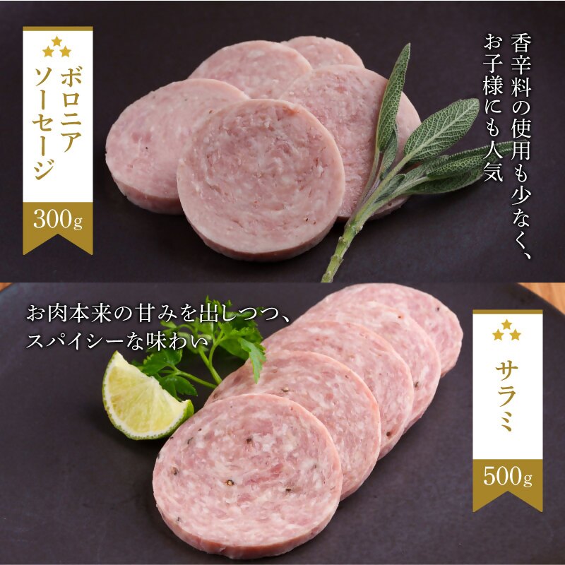 もちぶた 加工肉 6種 詰め合わせ セット ハム ソーセージ 角煮 ベーコン 煮豚 和豚 もち豚 豚肉 ポーク 肉 豚 ぶた ブタ 豚ロース 加工肉 加工品 レトルト レトルト食品 アウトドア キャンプ バーベキュー 冷蔵 宮城