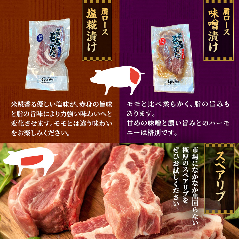 もちぶた 加工品 5種 詰め合わせ セット モモ 肩ロース 味噌漬け 塩糀漬け120g 3パック スペアリブ 300g 和豚 もち豚 豚肉 ポーク お肉 肉 豚 ぶた ブタ ロース もも肉 精肉 加工肉 アウトドア スペシャルキャンペーン