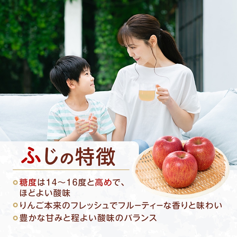 大河原産「ふじ」りんごジュース 300ml×20本 りんご リンゴ 林檎 ジュース りんごジュース リンゴジュース 飲み物 飲料 果実飲料 フルーツ 果物 くだもの ドリンク 大河原町